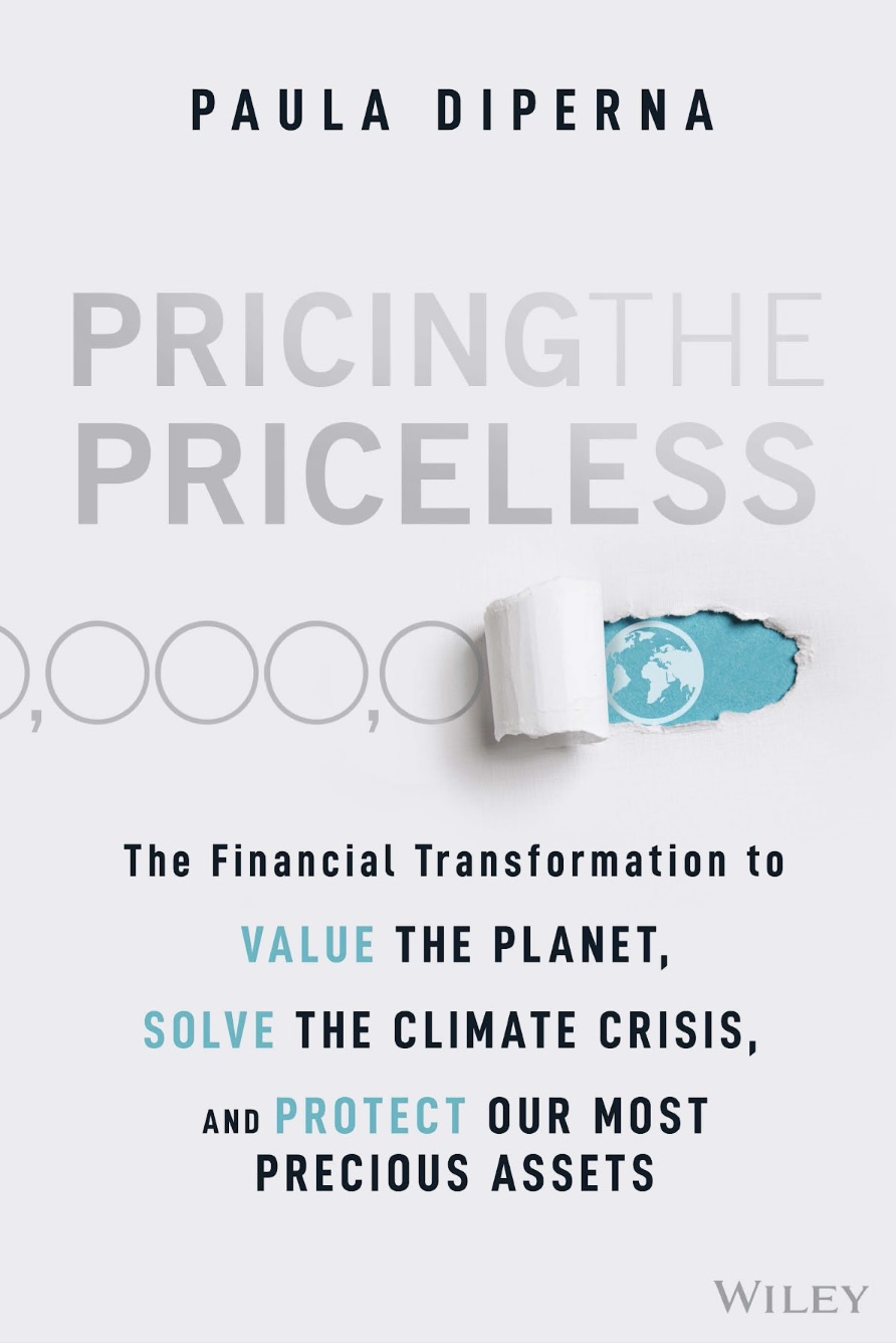 Pricing the Priceless cover 